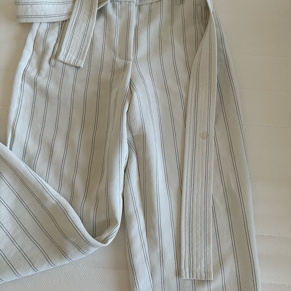 Aritzia Crop Pants with Belt